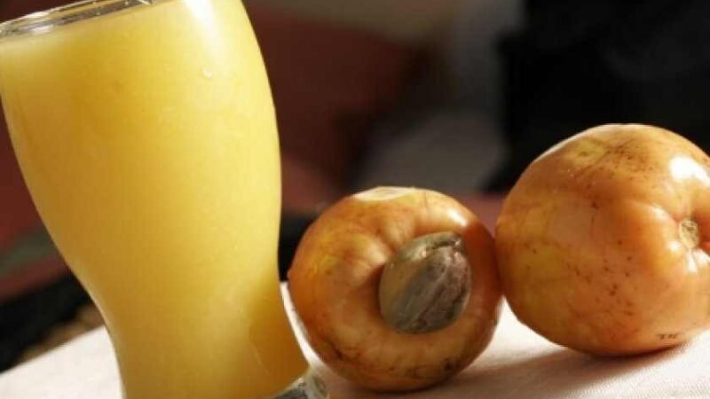 Aprenda a Fazer o Melhor Suco de Caju Usando a Fruta Fresca! 5 (10)