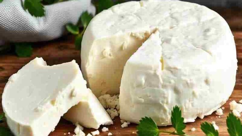 Como Fazer Queijo Caseiro Fácil e Saboroso 5 (23)