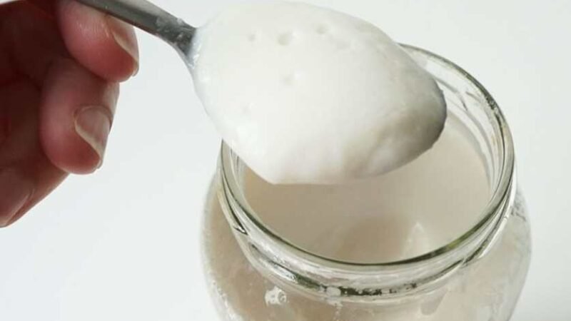 Como Fazer Iogurte Natural Caseiro: Receita e Benefícios 🥛 5 (25)