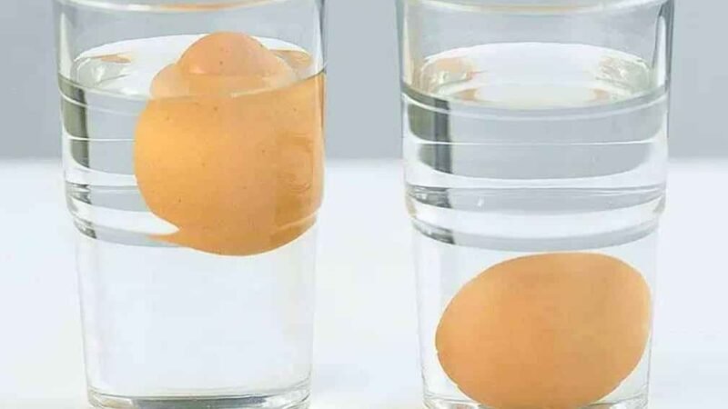 Teste do Ovo na Água: Como Saber se o Ovo Está Bom ou Velho 0 (0)