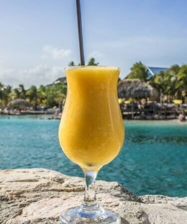 Suco de Maracujá, Limão e Abacaxi Refrescante 5 (15)