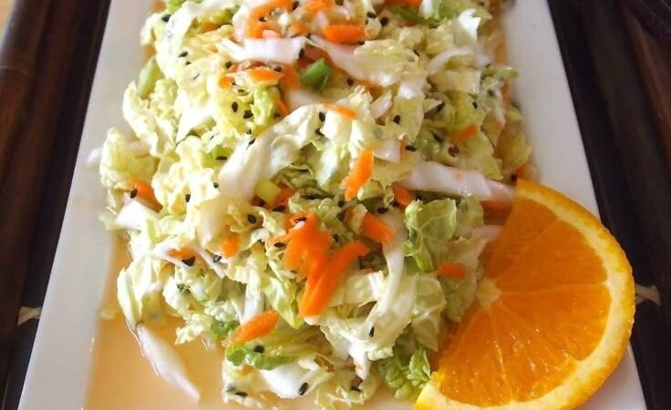 Vinagrete de Repolho Simples e Rápido Leve e Fresco 5 (8)