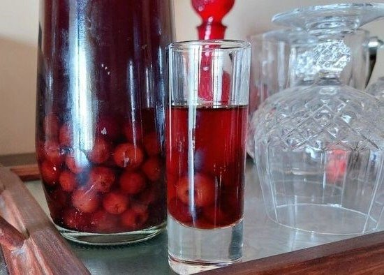 Ginjinha Caseira: Receita Portuguesa Fácil de Fazer 5 (16)