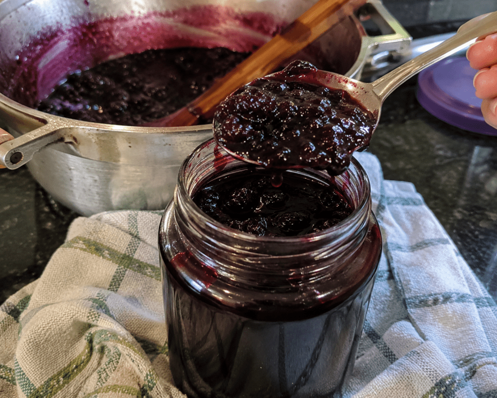 Geleia de Jabuticaba Tradicional com Casca:Receita Fácil e Brilhante