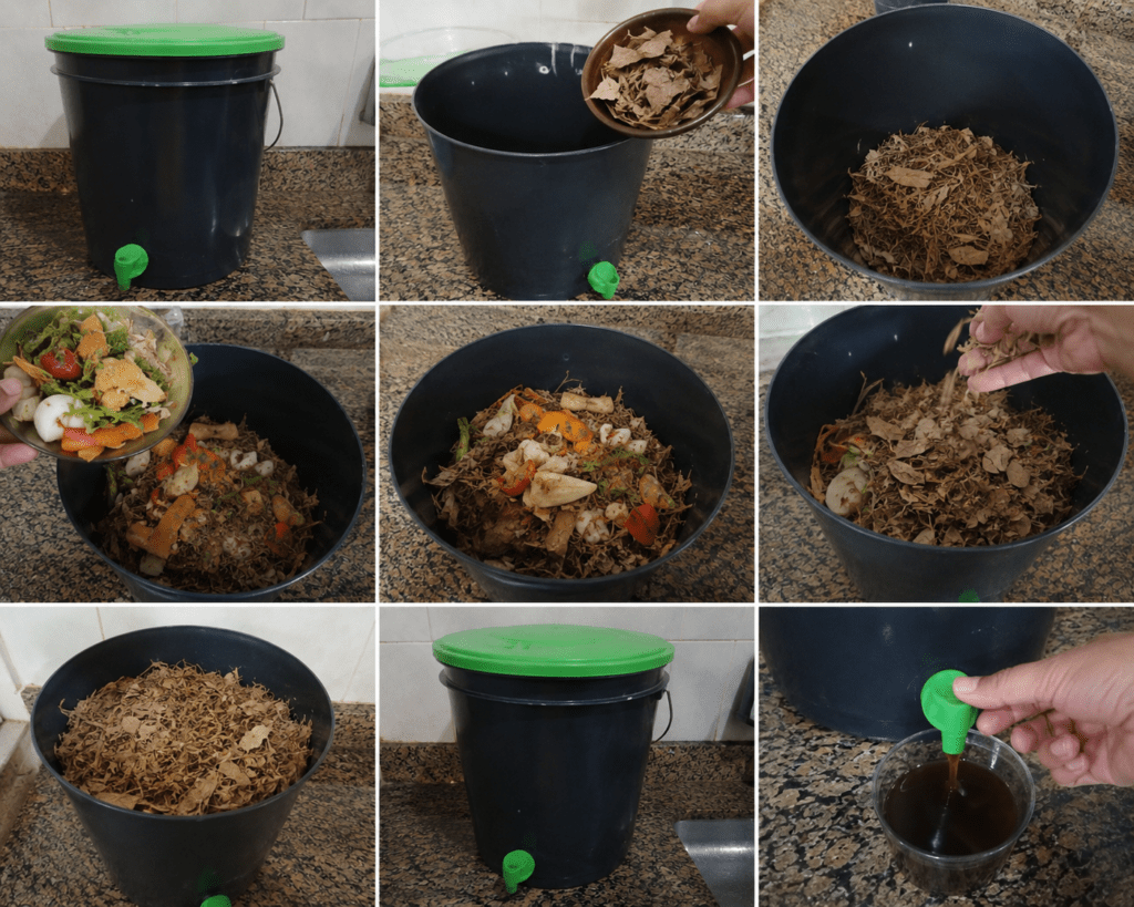 O segredo para transformar o lixo da sua cozinha em adubo rico em poucos dias