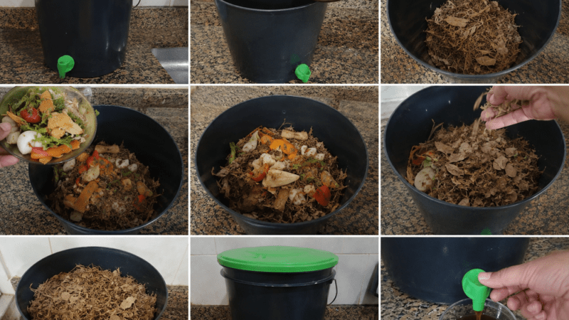 O segredo para transformar o lixo da sua cozinha em adubo rico em poucos dias 5 (17)